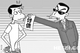 隆林债务清欠服务