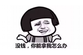 隆林企业清欠服务